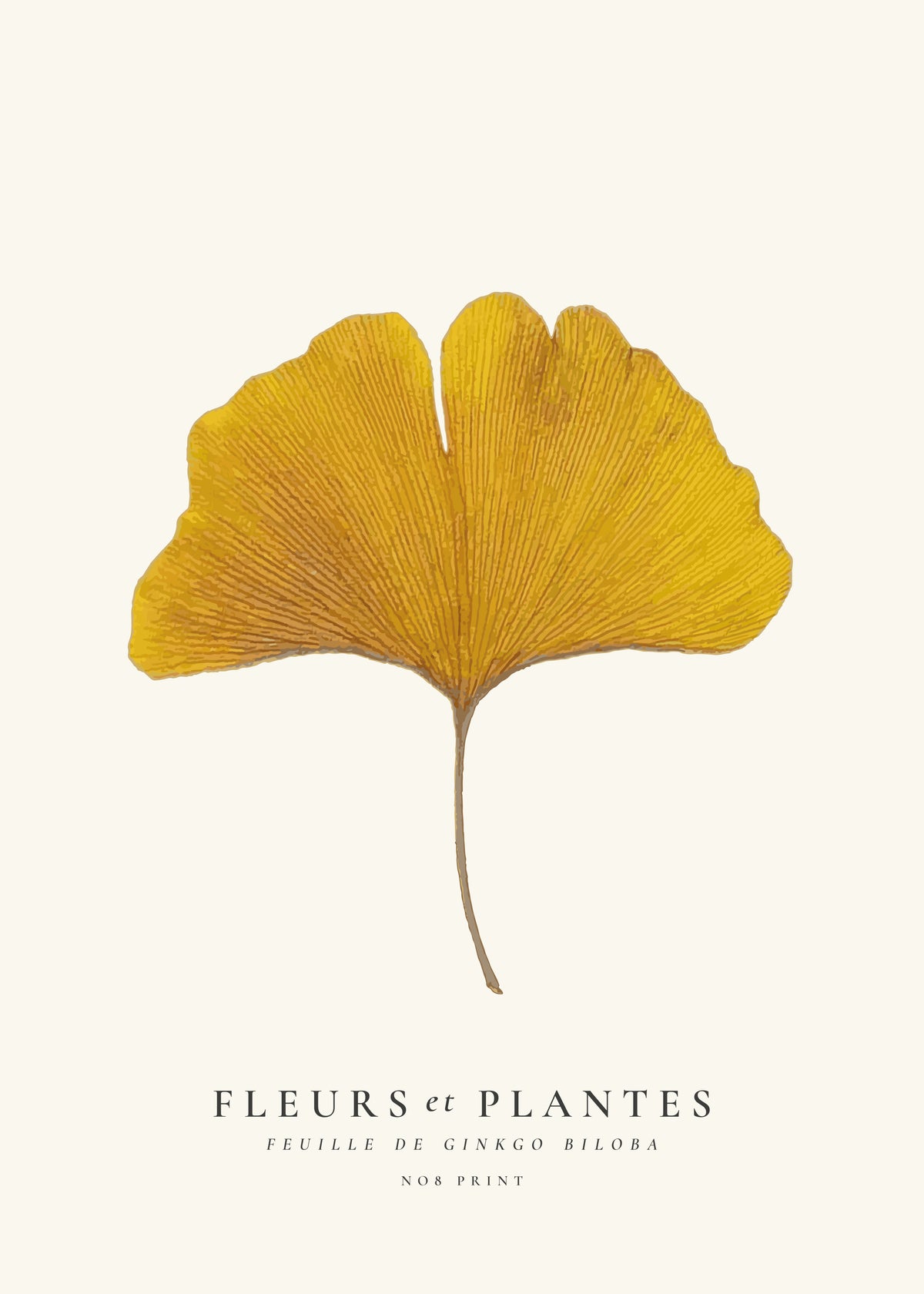 Botanical, Fleurs et plantes -Ginkgo biloba leaf - Obra sin marco
