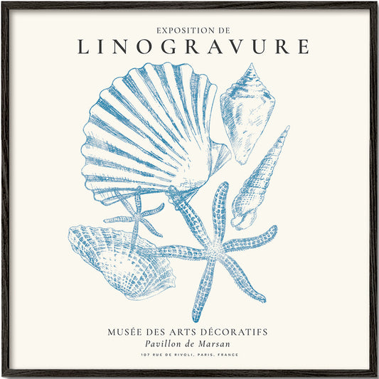 Exposition de linogravure, Sealife (la vie marine) - SQUARE