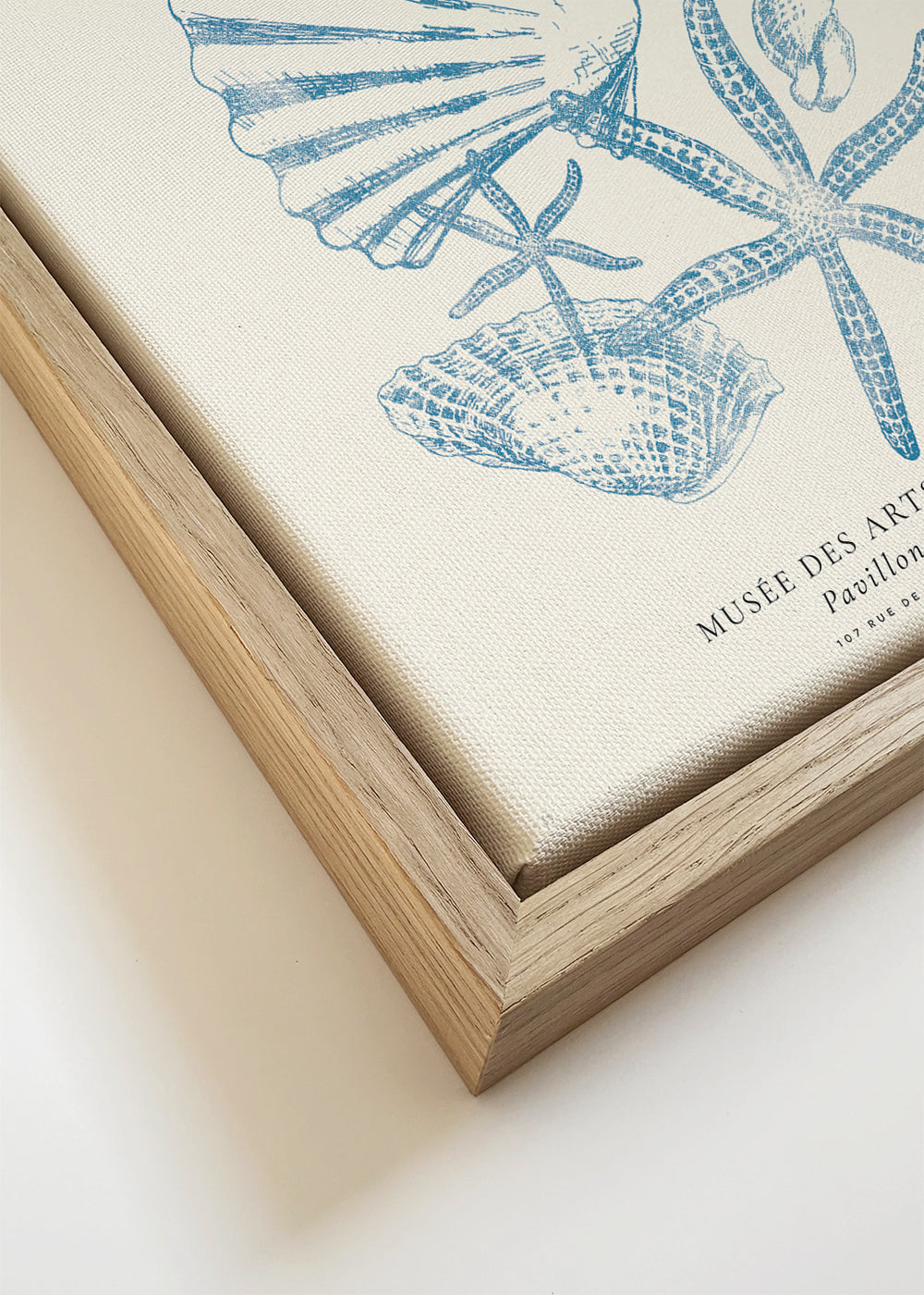 Exposition de linogravure, Sealife (la vie marine) - SQUARE