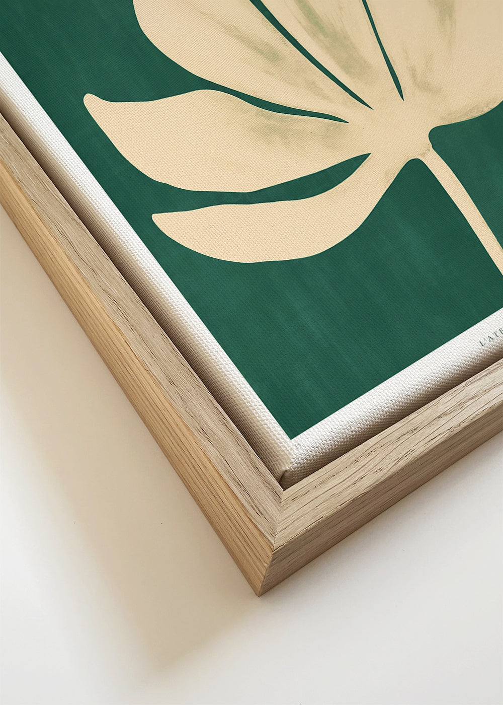 Daisy Flower (Marguerite Fleur) - SQUARE