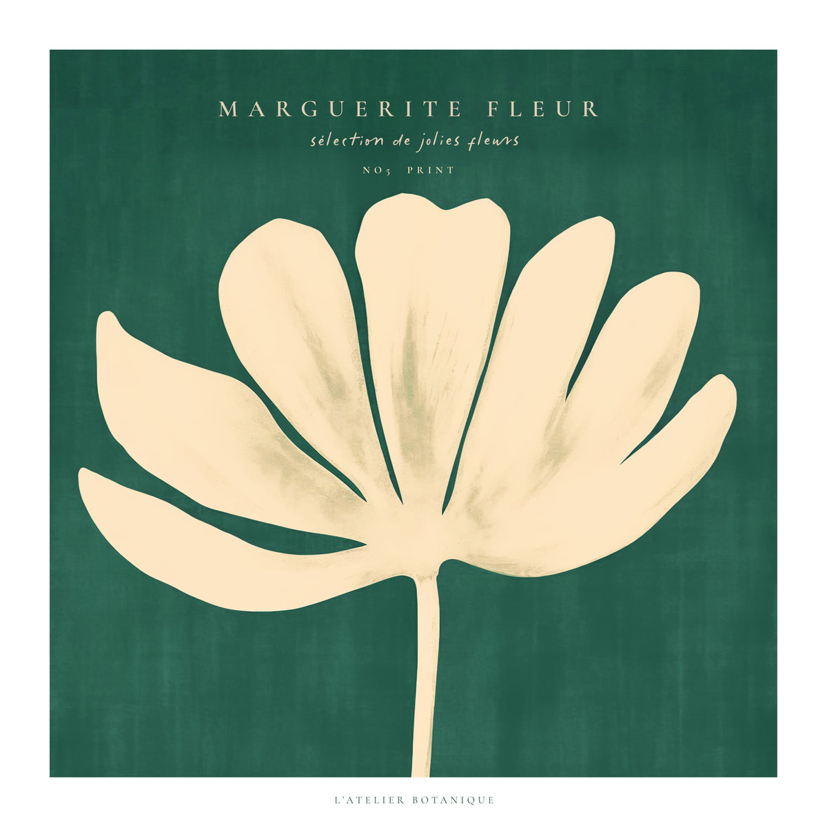 Daisy Flower (Marguerite Fleur) - SQUARE - Unframed art print