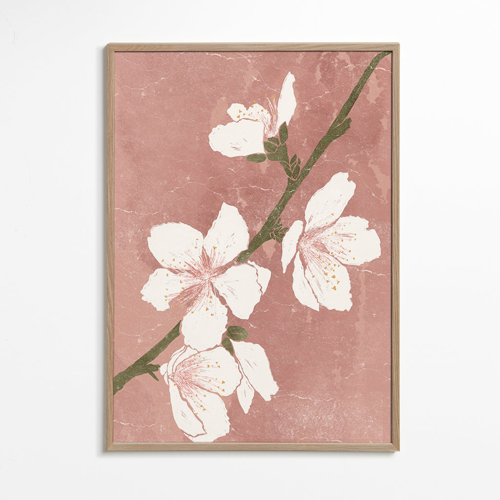 Lámina botánica con flor sobre fondo rosa – Oak Frame