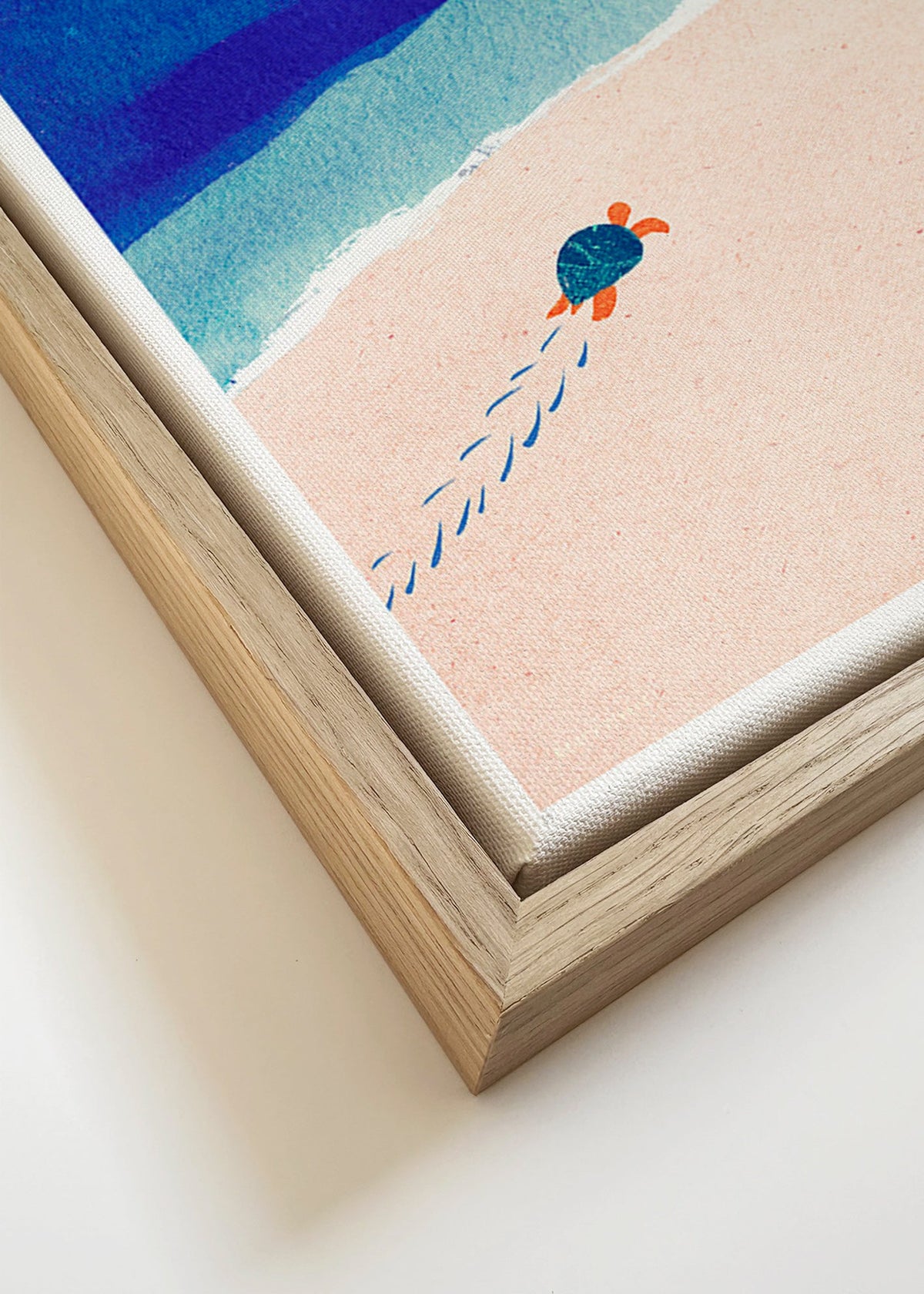 Illustrazione tartaruga sulla spiaggia – Canvas detail