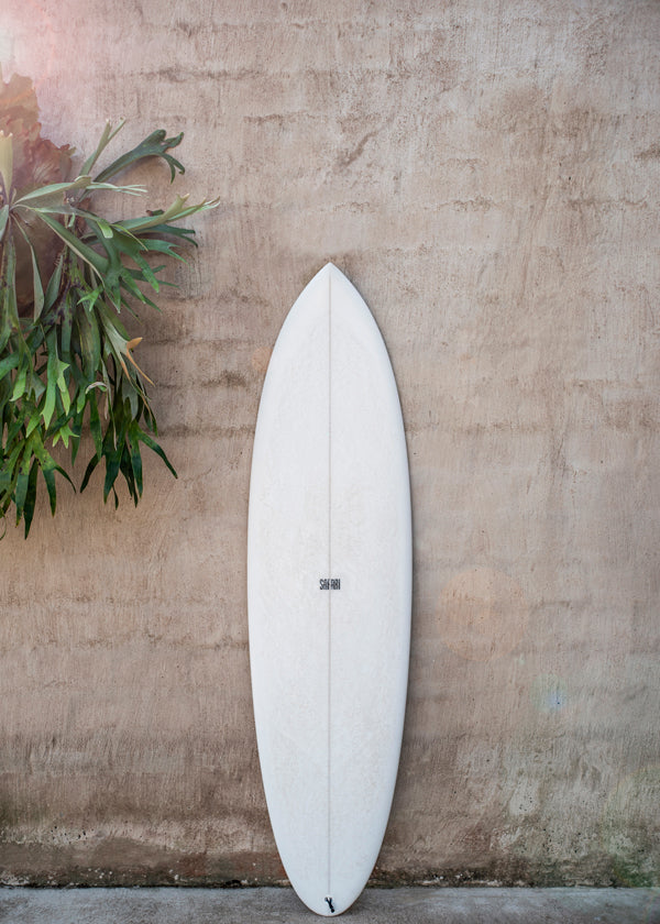 Safari Twinfin - Shot by Clint