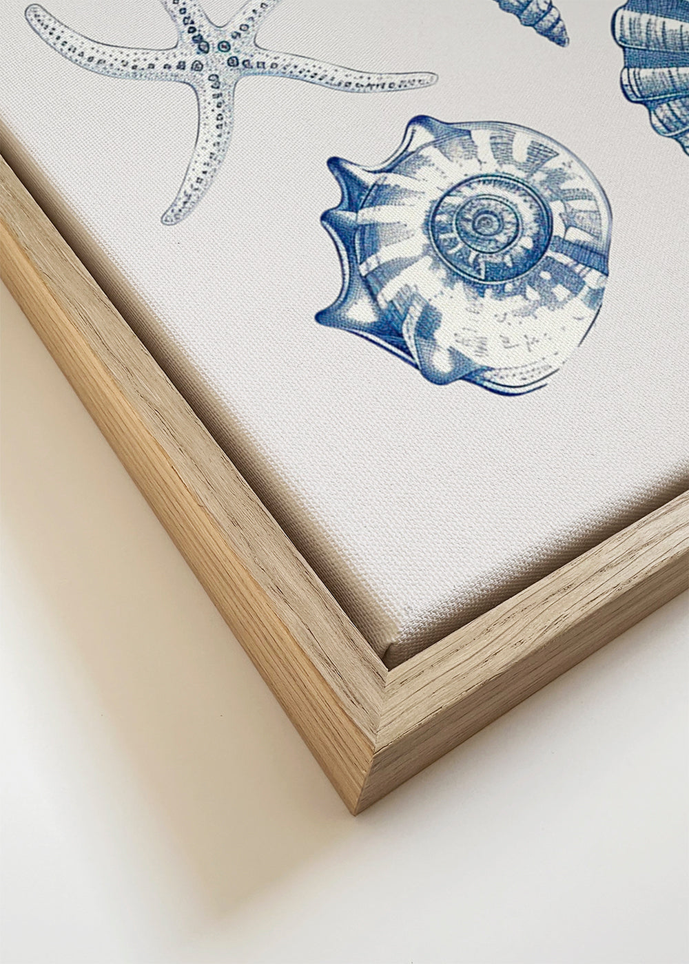 Shell Collage - Jolly and Dash