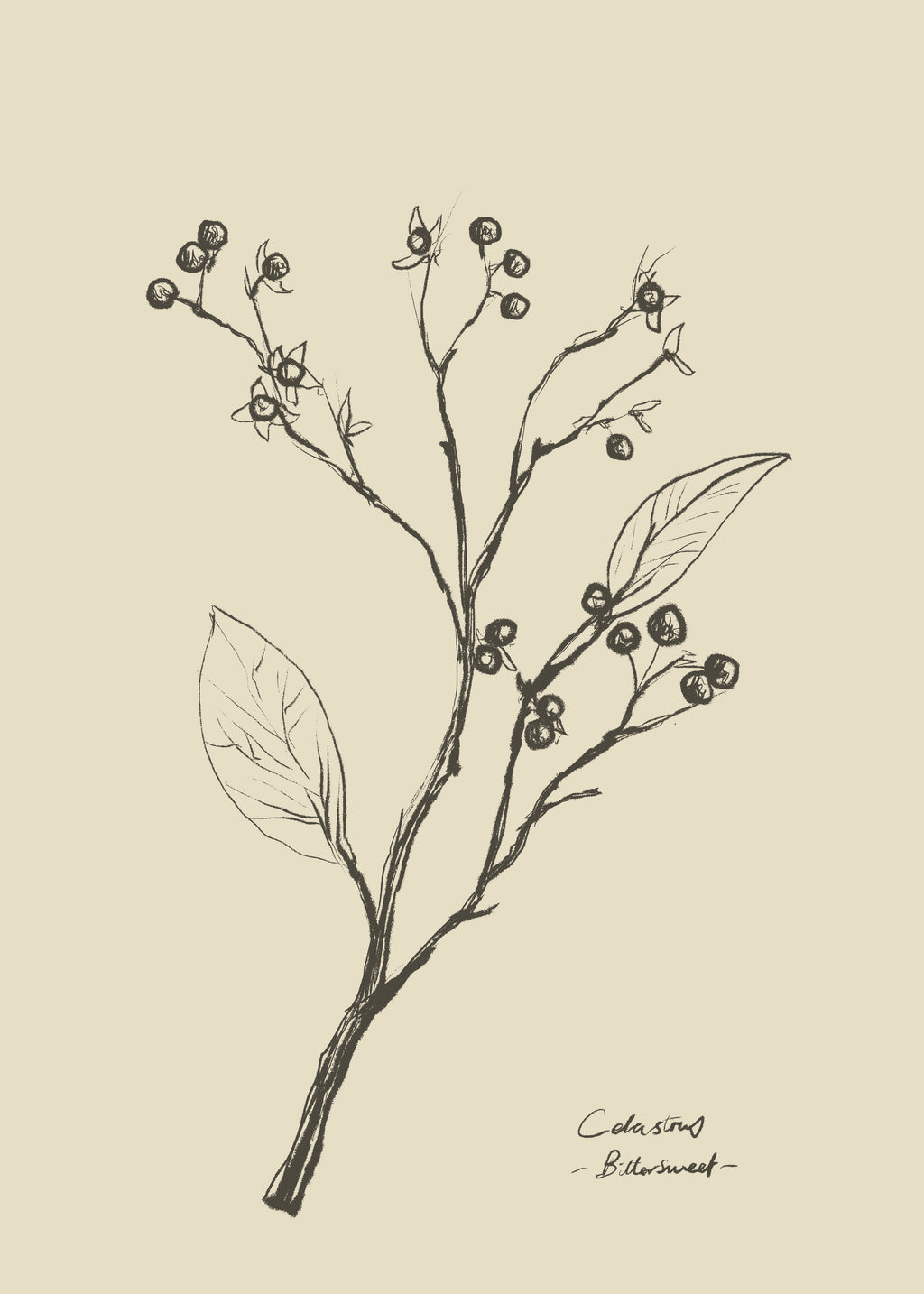 Floral 2 - Unframed art print