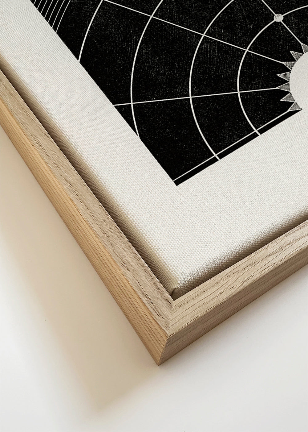 Solar Biology No. 5 - Hiram Eratus Butler