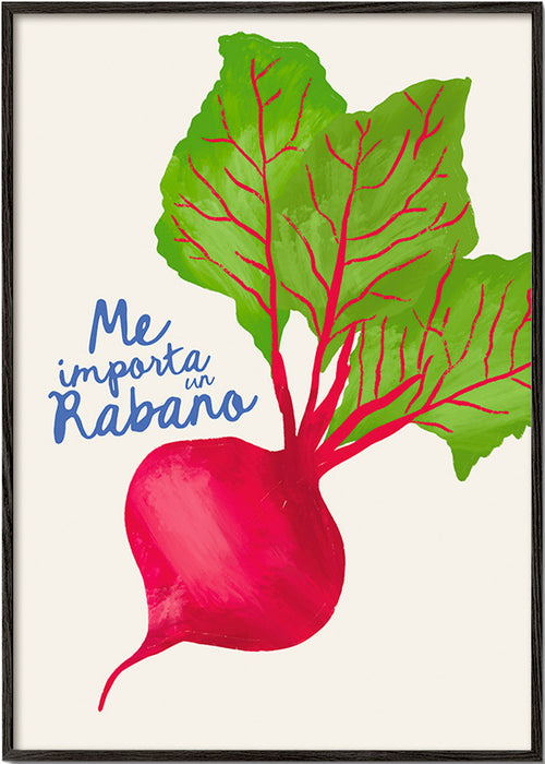 Arte da cucina ravanello illustrato