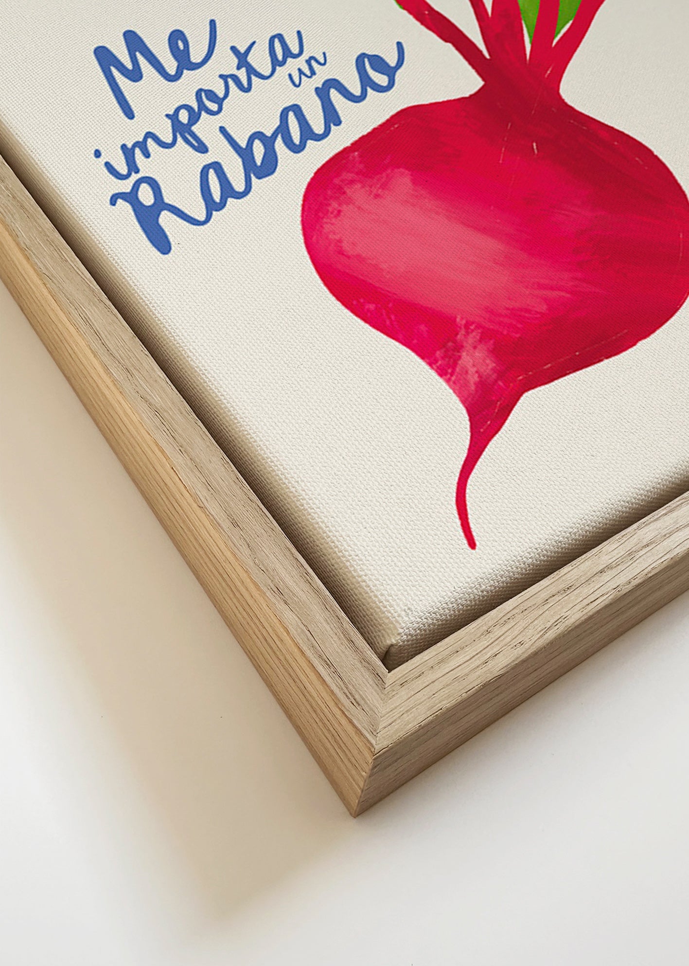 Arte da cucina ravanello illustrato
