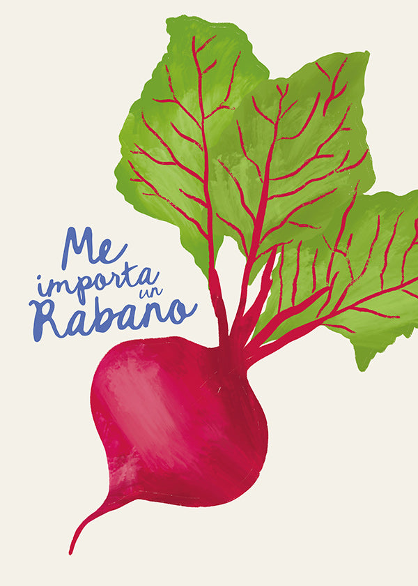 Arte da cucina ravanello illustrato
