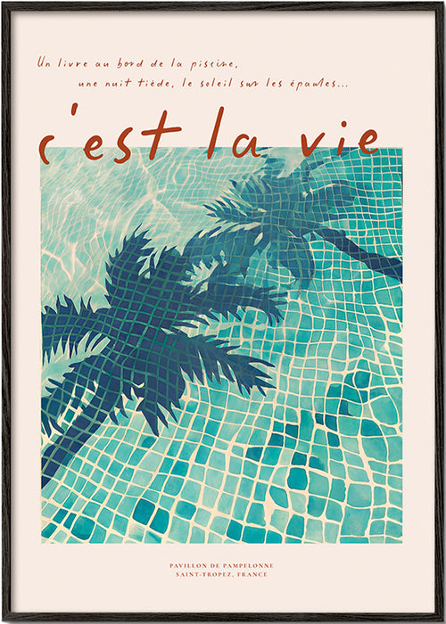Illustrazione piscina con ombre di palma