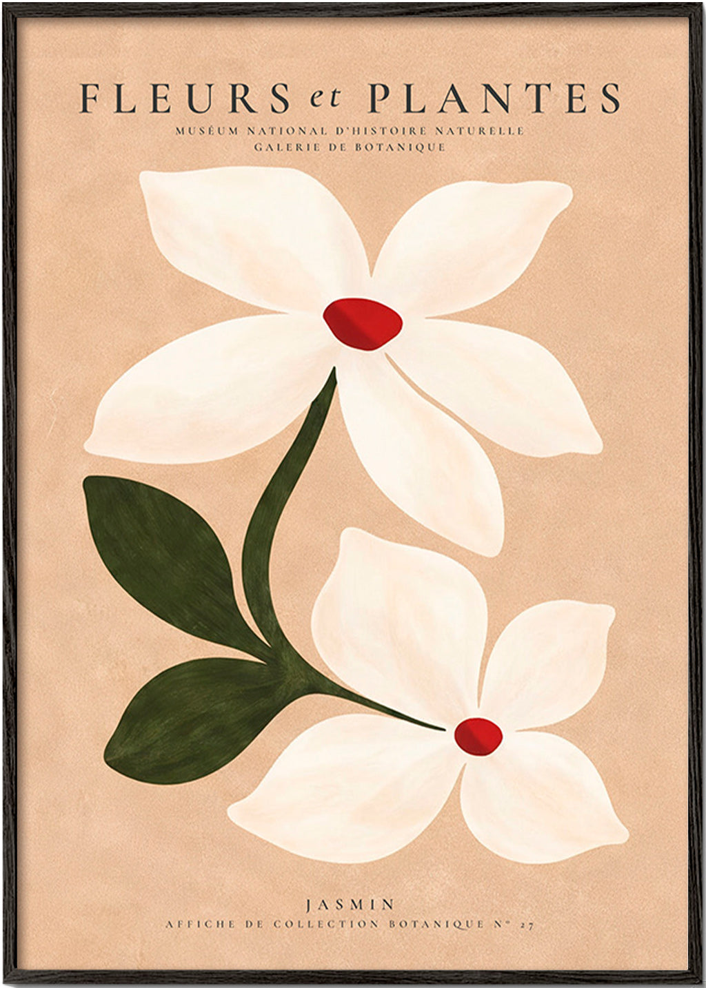 Stampa botanica di gelsomino su sfondo beige