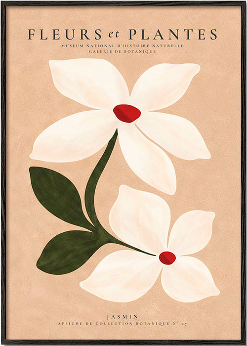 Stampa botanica di gelsomino su sfondo beige
