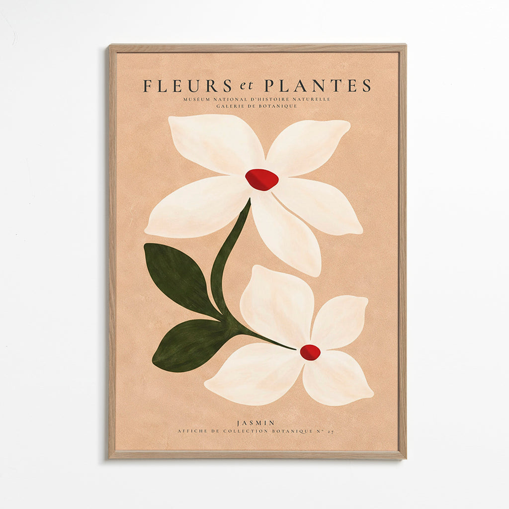 Stampa botanica di gelsomino su sfondo beige