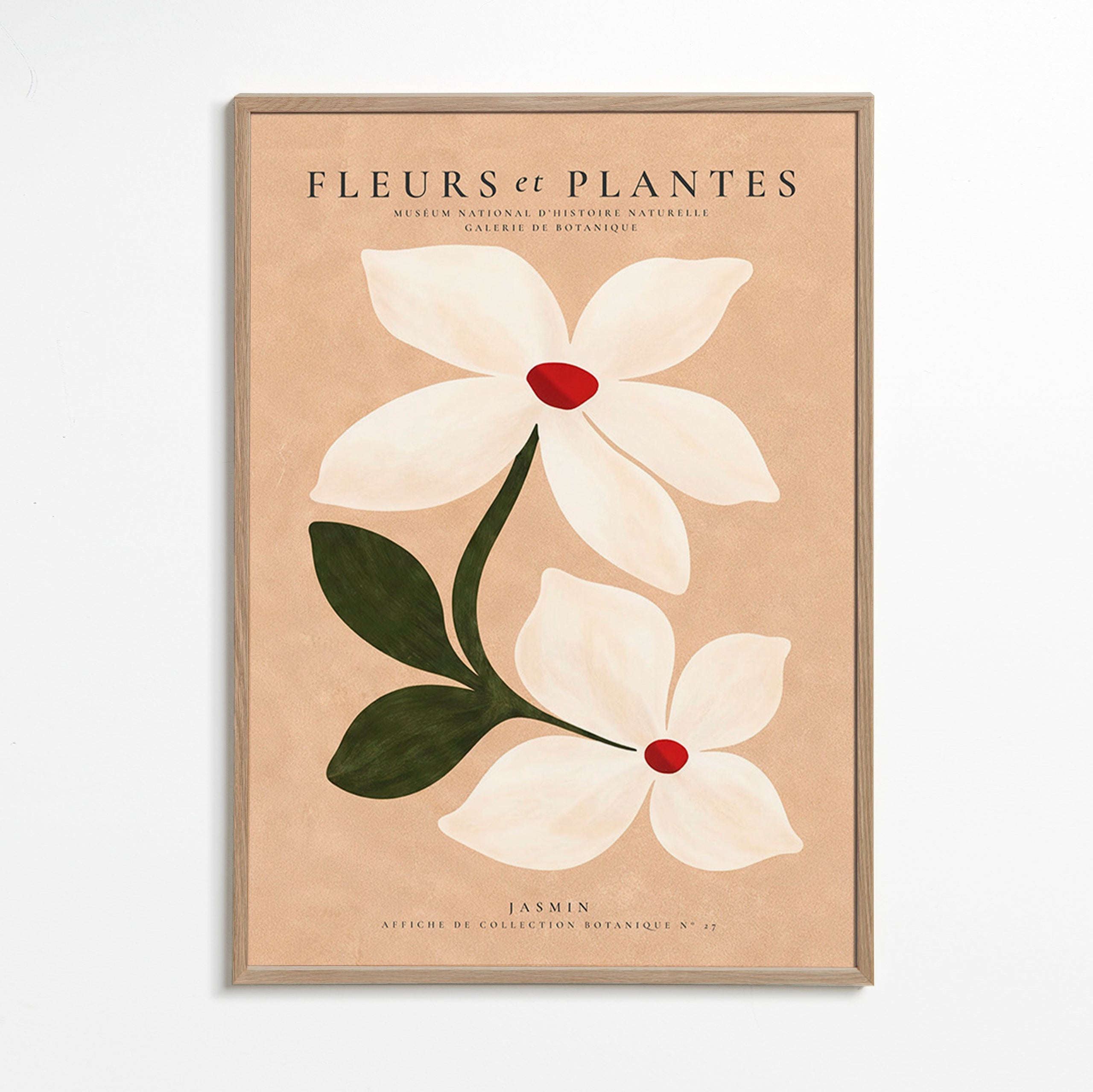 Stampa botanica di gelsomino su sfondo beige