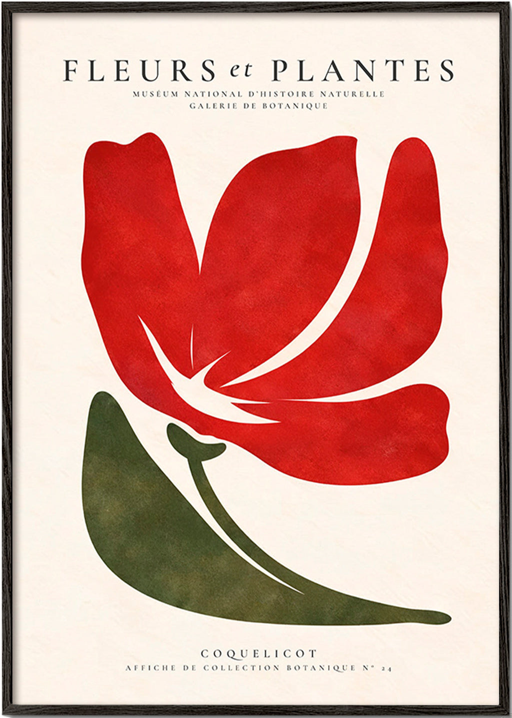 Stampa botanica con papavero rosso stilizzato