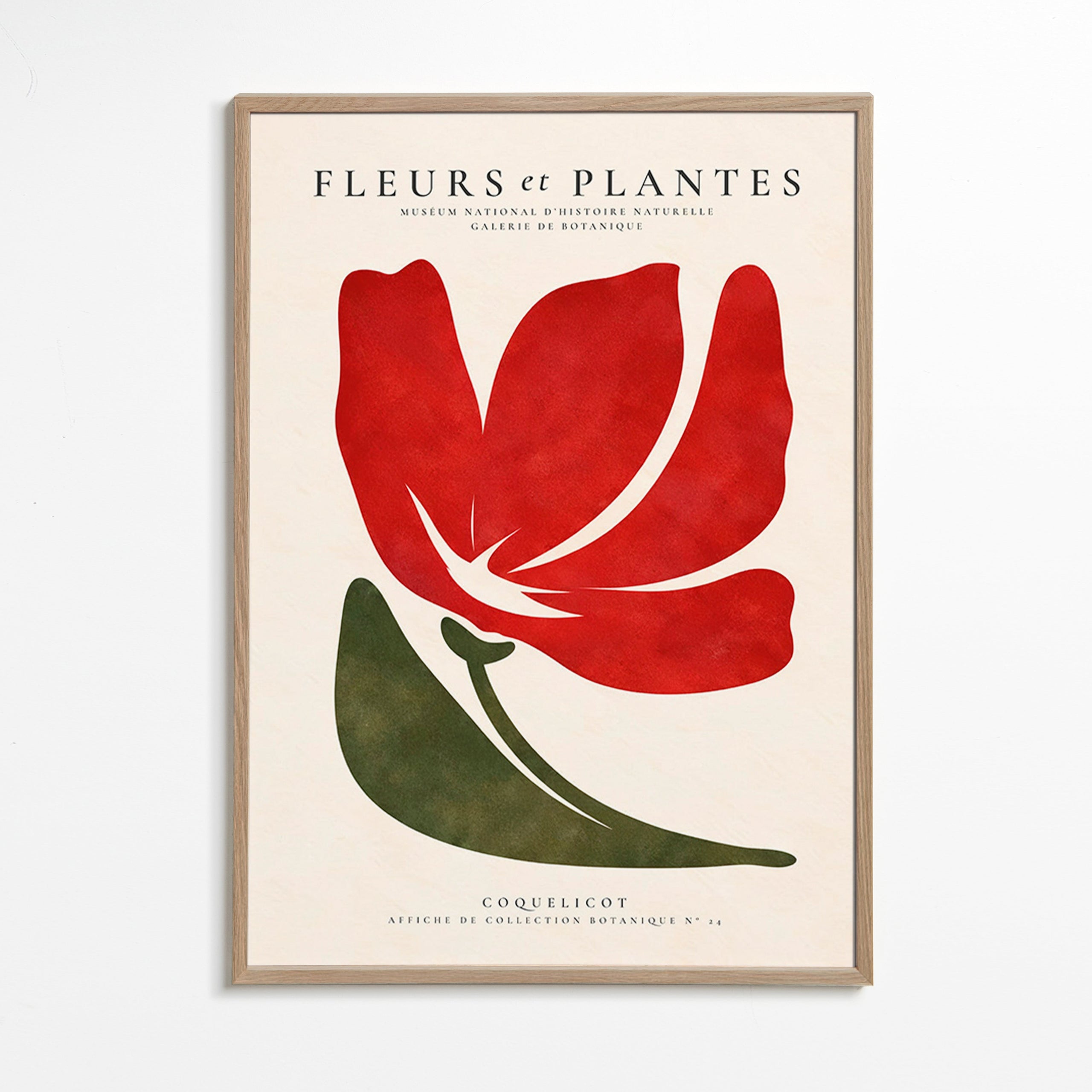 Stampa botanica con papavero rosso stilizzato