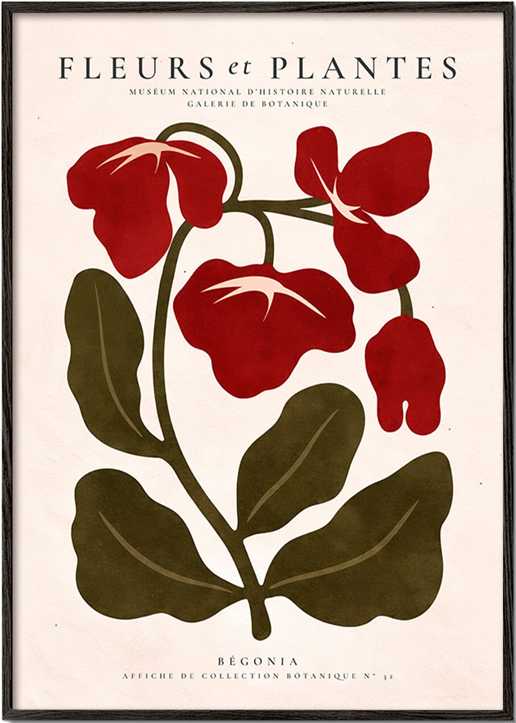 Stampa botanica: Begonia rossa stilizzata