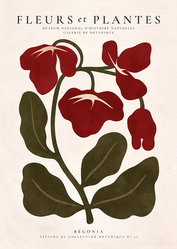 Stampa botanica: Begonia rossa stilizzata