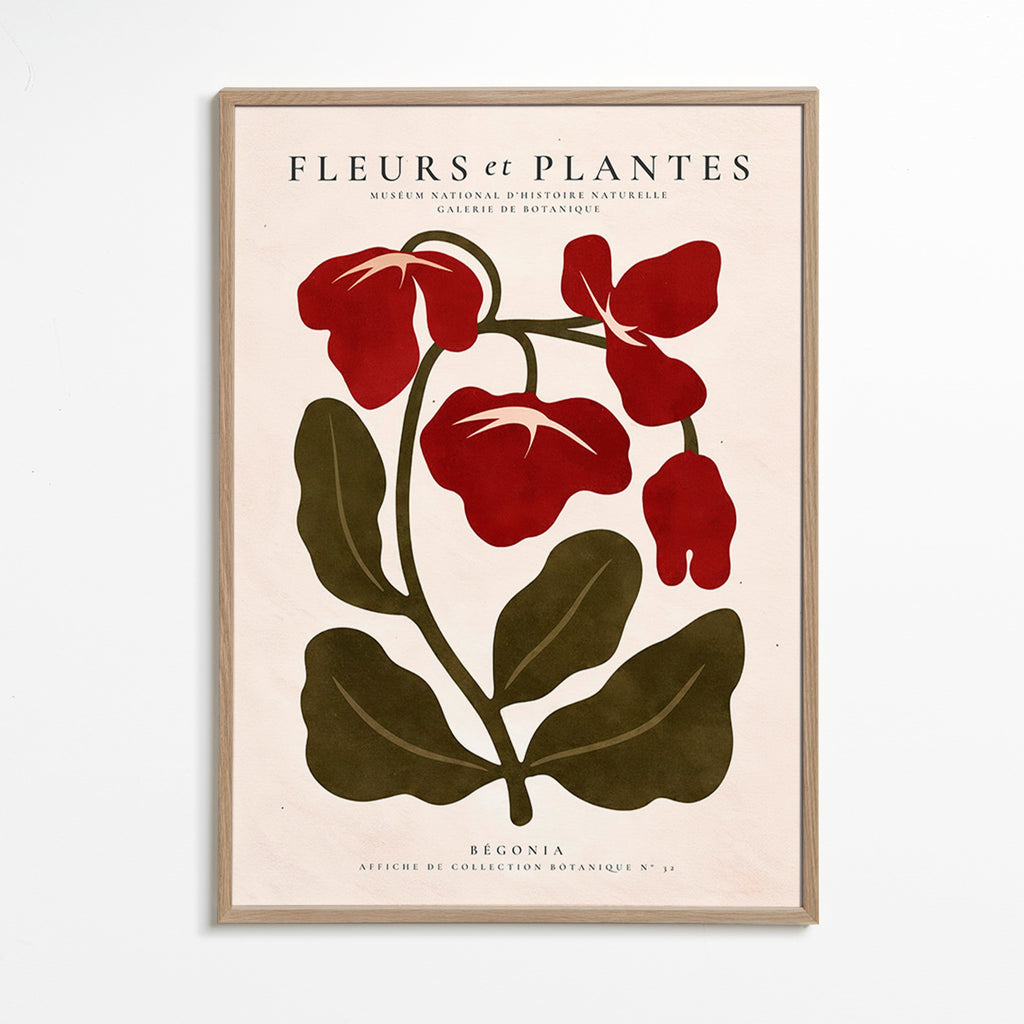 Stampa botanica: Begonia rossa stilizzata