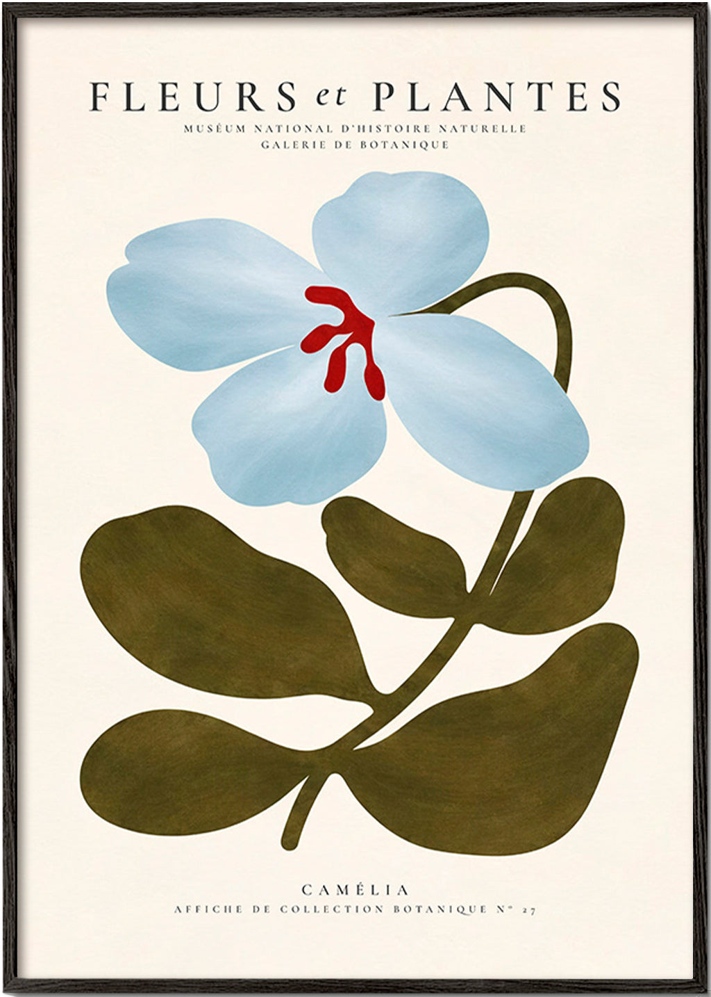 Stampa botanica Camelie blu