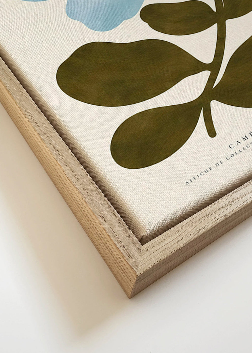 Stampa botanica Camelie blu