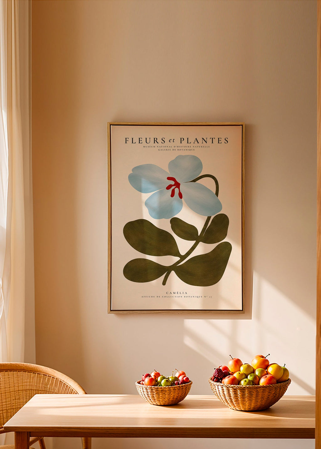 Stampa botanica Camelie blu