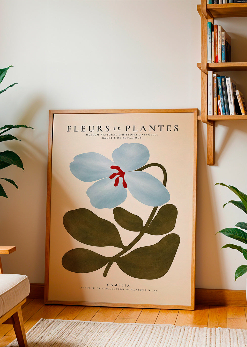 Stampa botanica Camelie blu