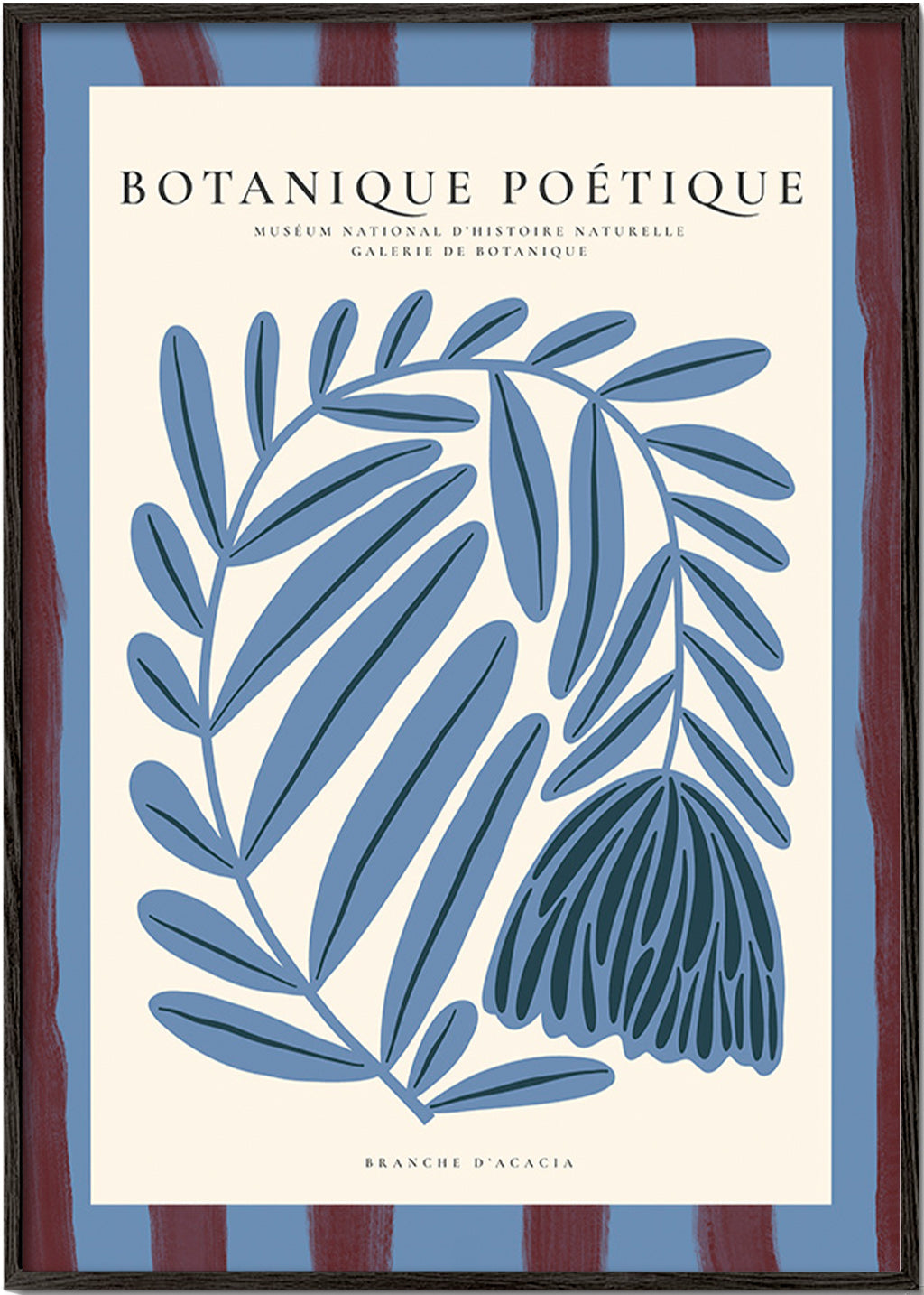 Stampa botanica: acacia stilizzata blu