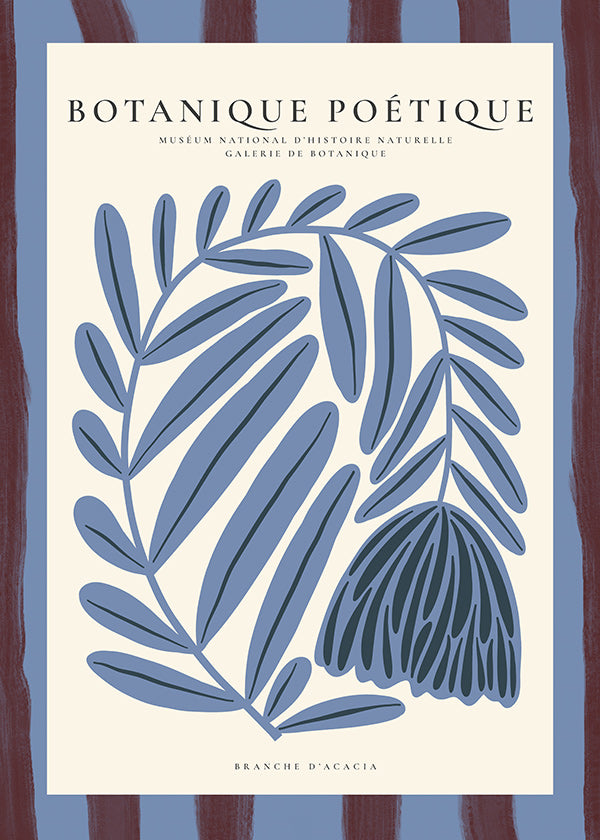 Stampa botanica: acacia stilizzata blu