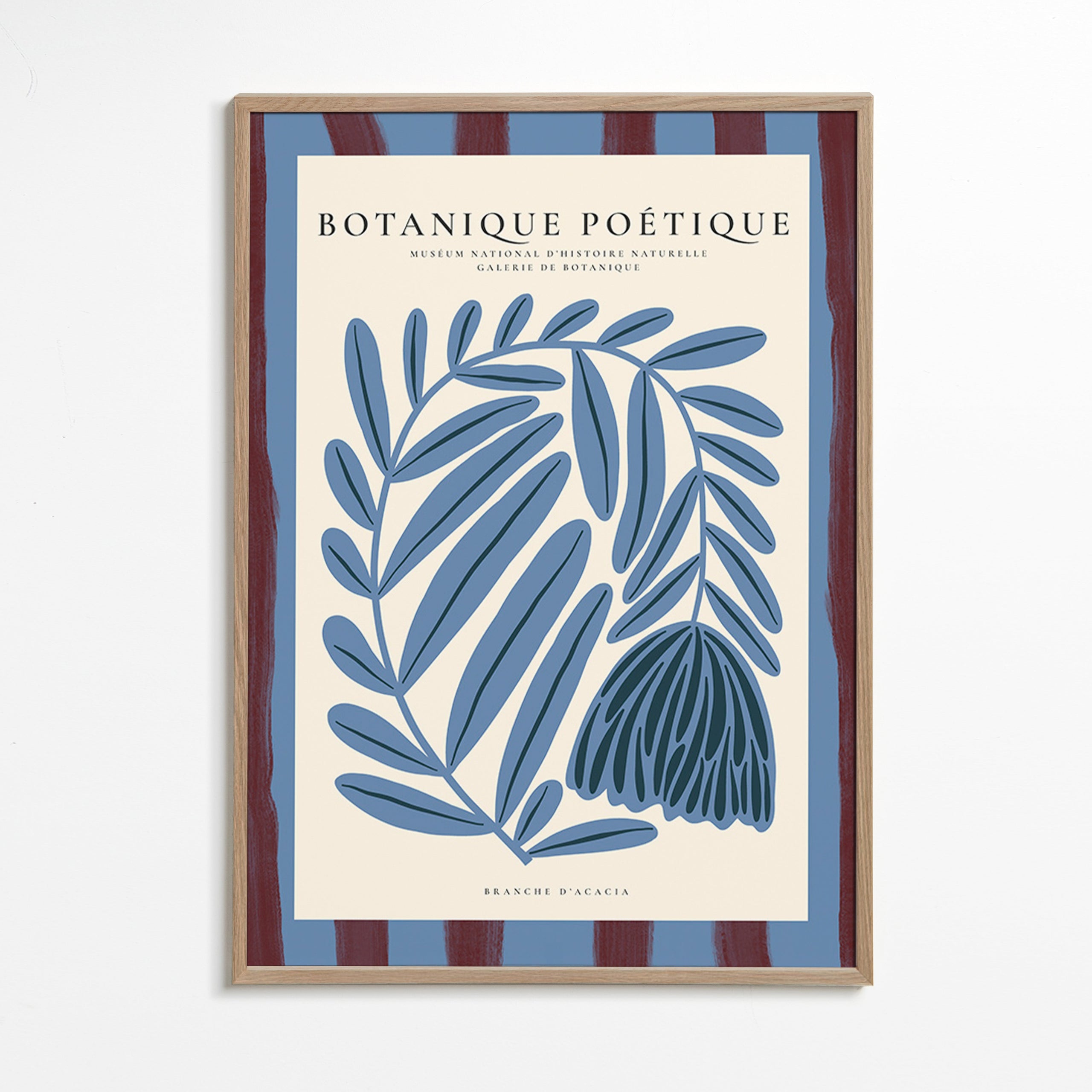 Stampa botanica: acacia stilizzata blu