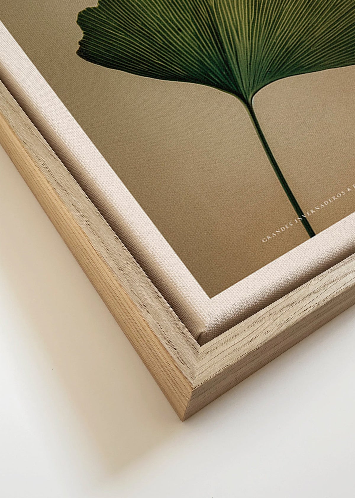 Stampa botanica con foglia di ginkgo e tipografia classica