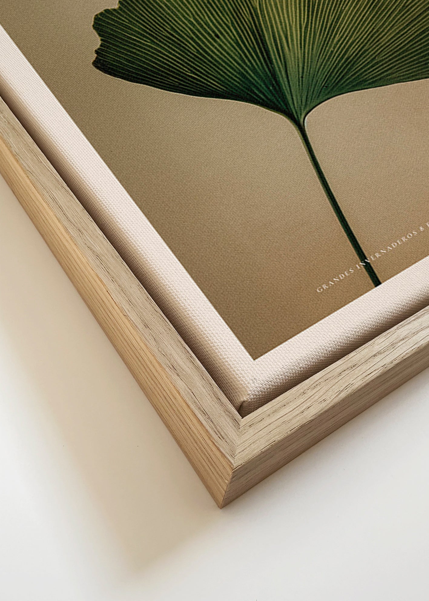 Stampa botanica con foglia di ginkgo e tipografia classica