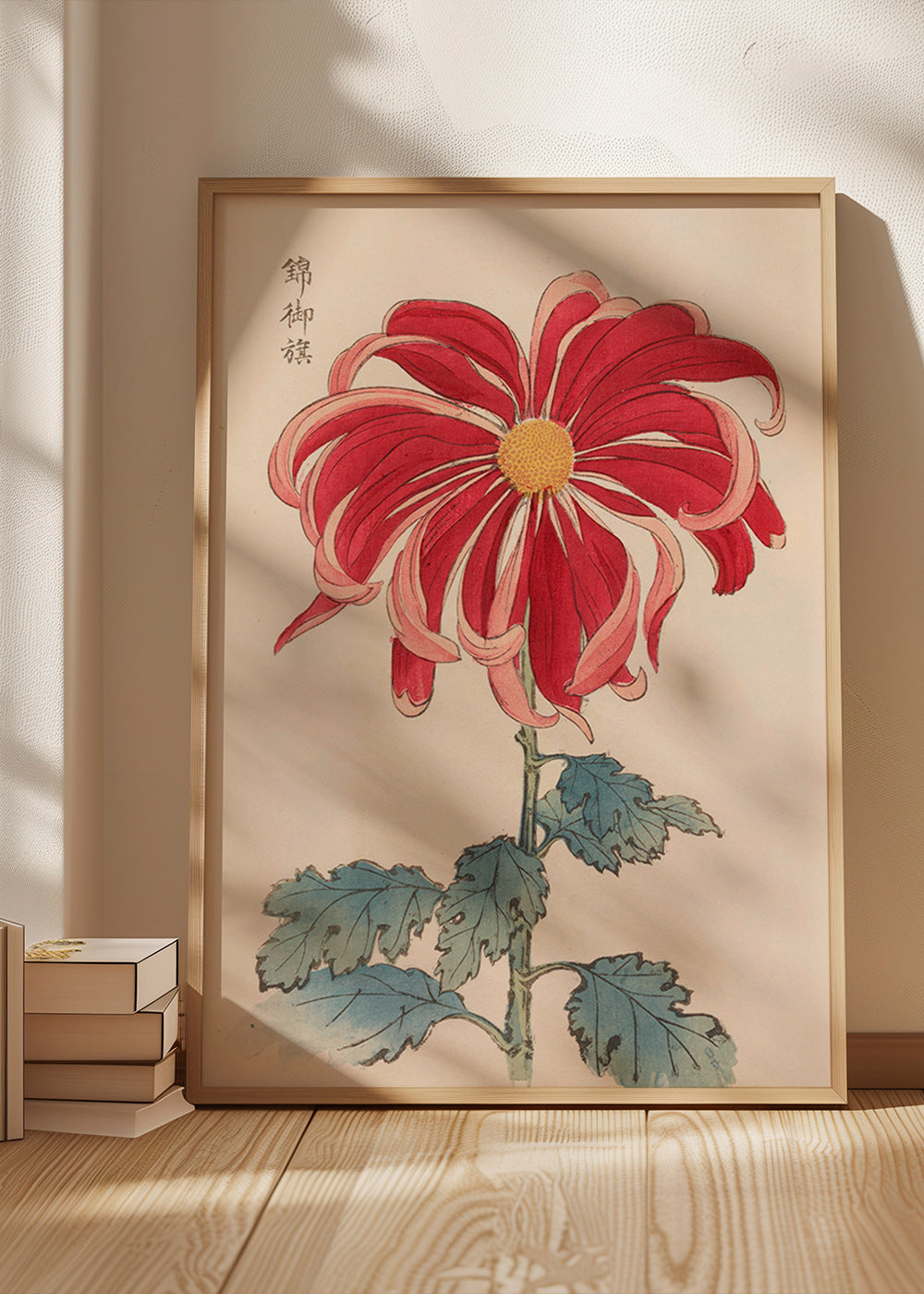 Stampa botanica crisantemo giapponese rosso