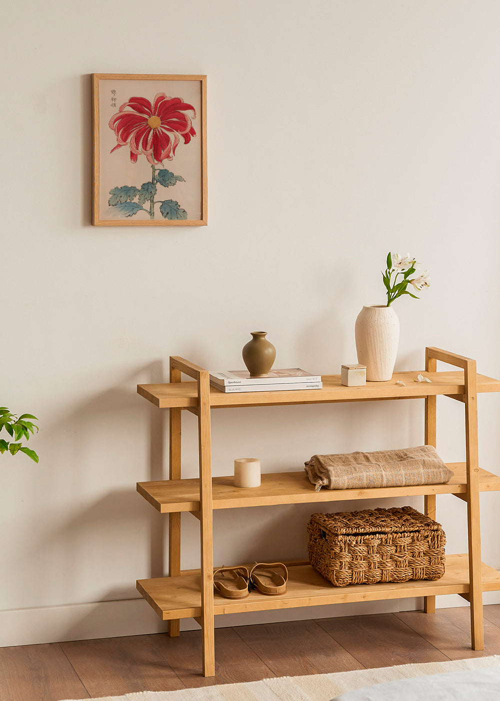 Stampa botanica crisantemo giapponese rosso