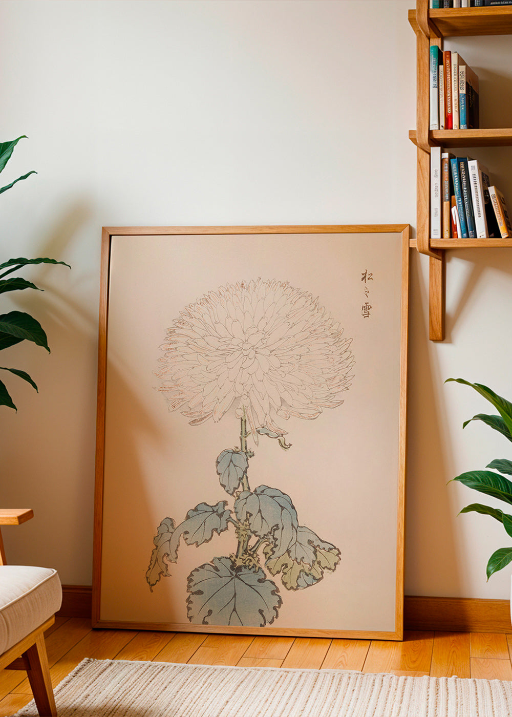 Stampa botanica: crisantemo giapponese dettagliato