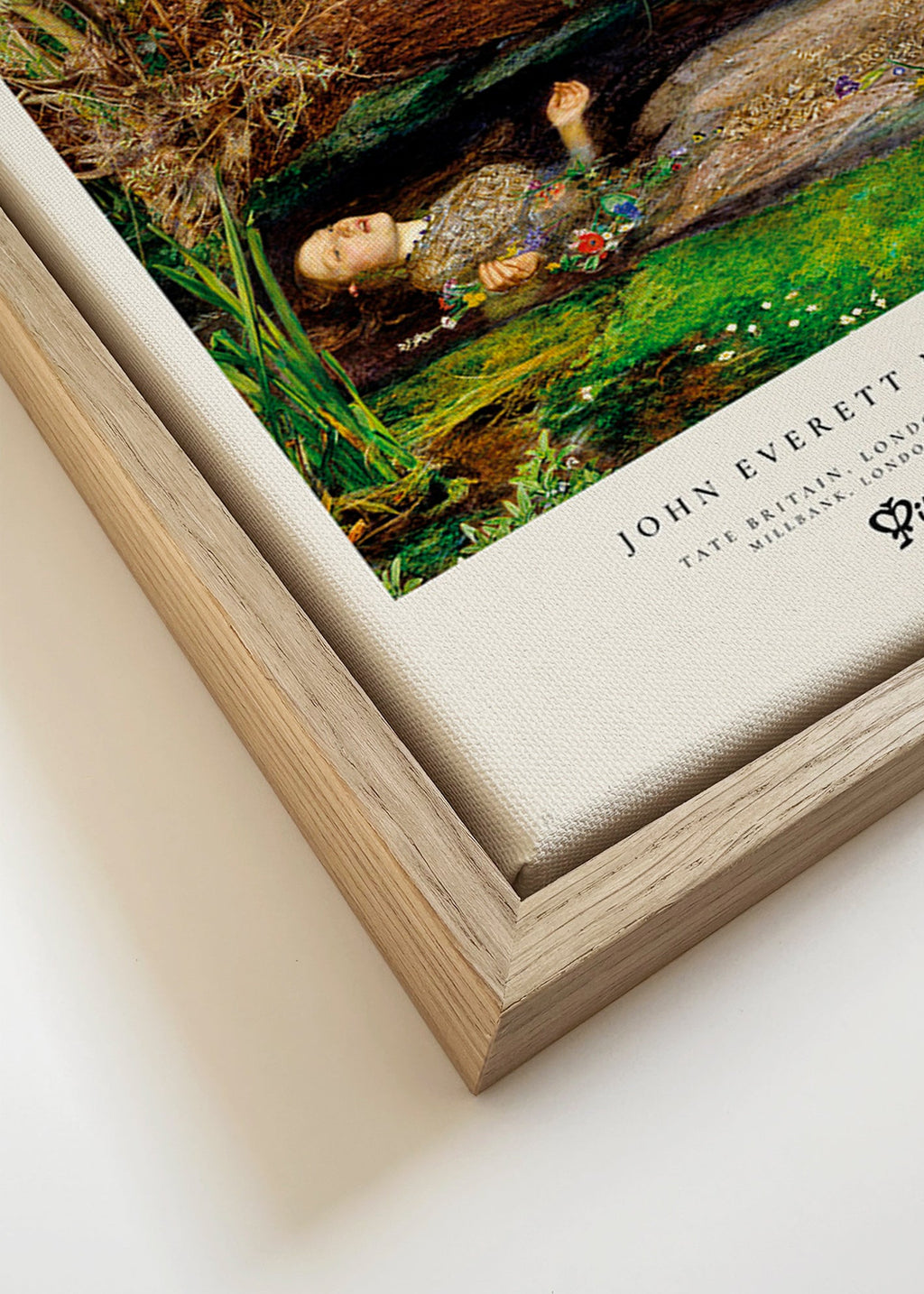 Stampa botanica Ophelia in riva