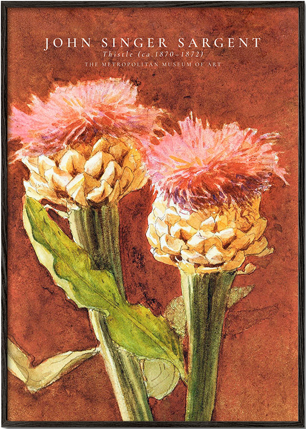 Stampa botanica con cardi rosa