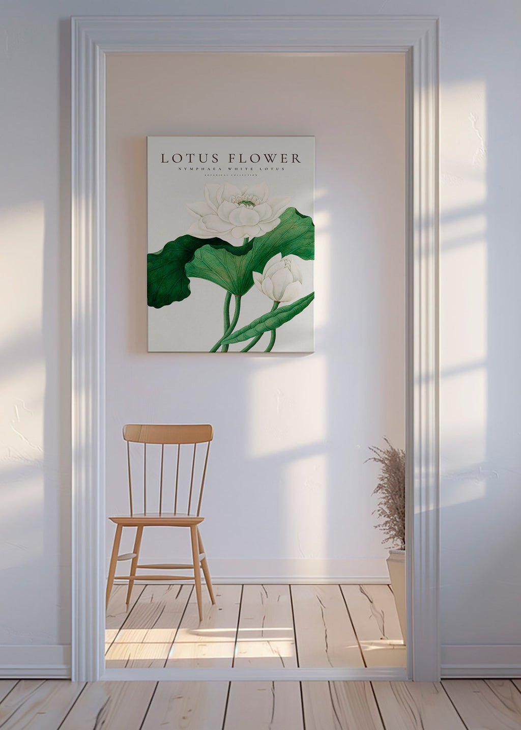 Stampa botanica Fiore di loto bianco studio