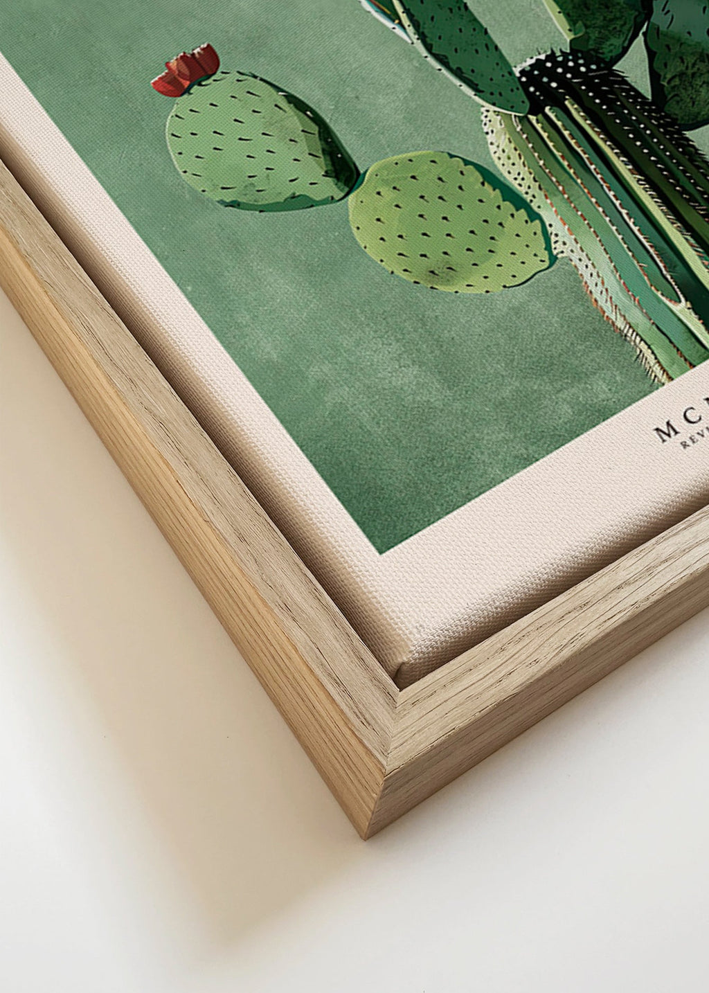 Stampa botanica Messico con cactus