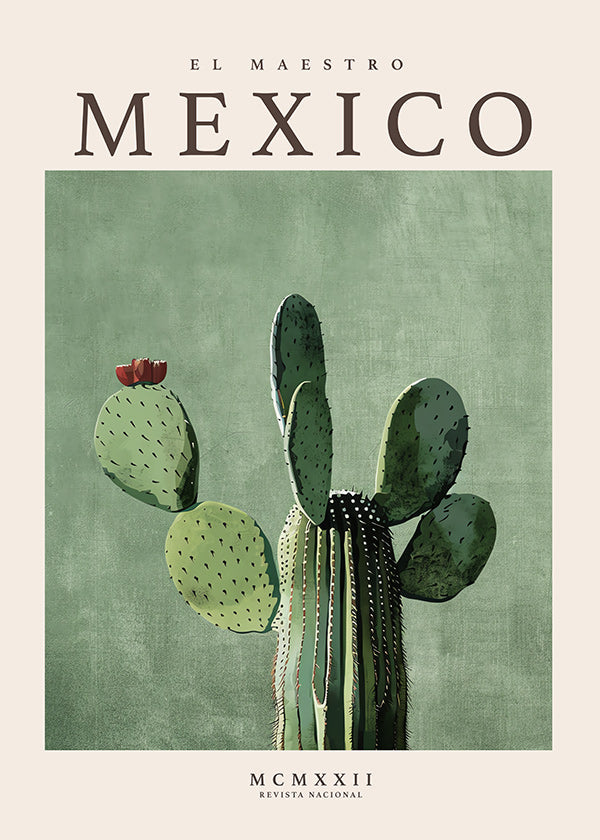 Stampa botanica Messico con cactus