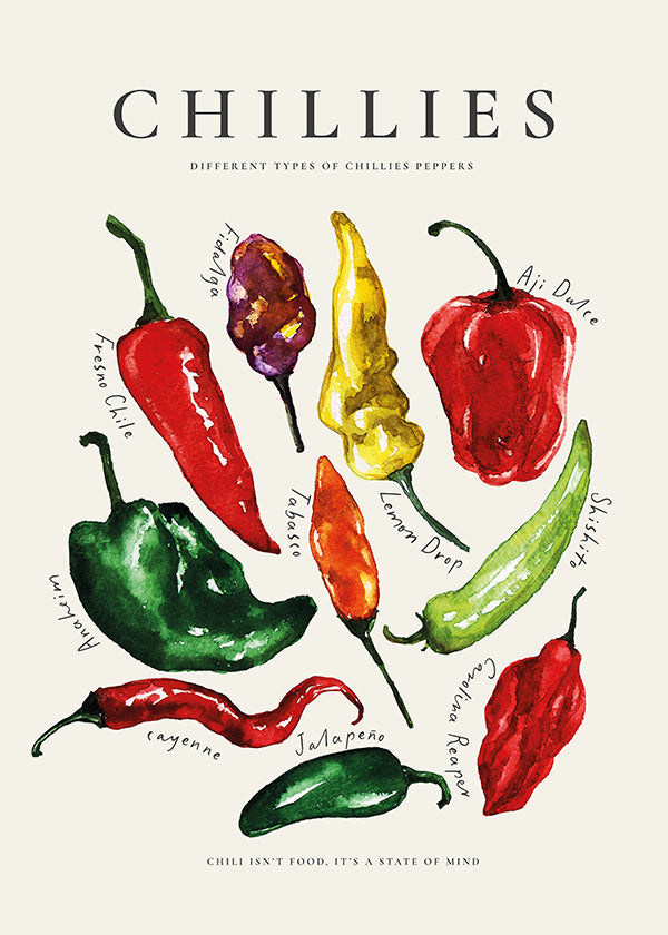 Arte da cucina Chillies ad acquerello