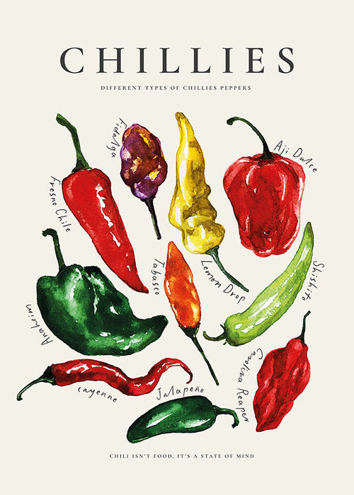 Arte da cucina Chillies ad acquerello