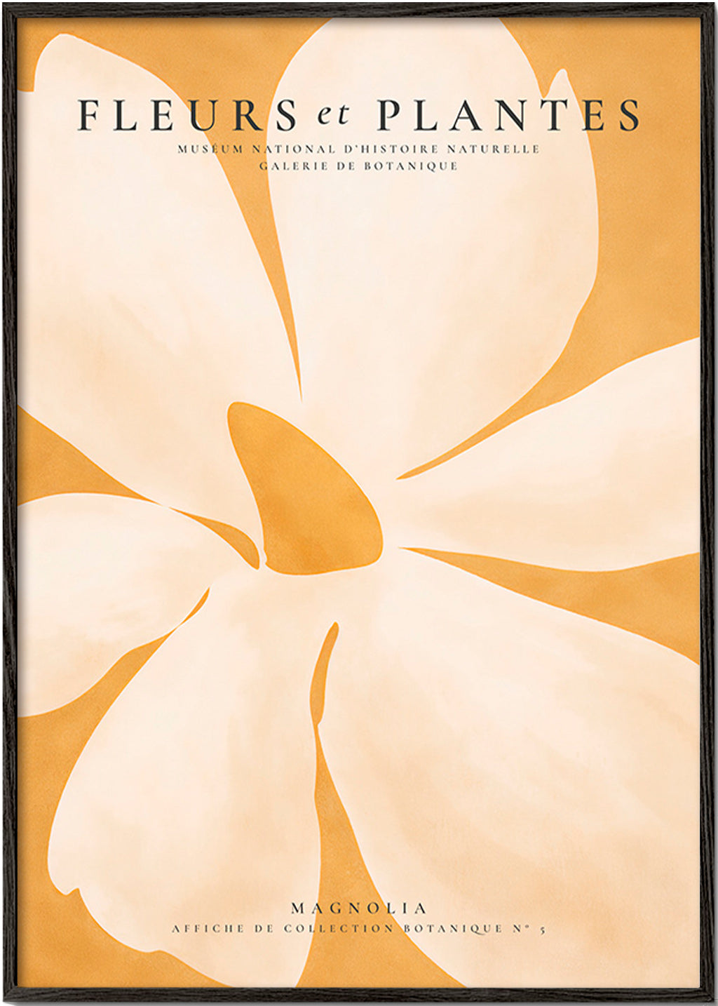 Stampa botanica Magnolia formato grande