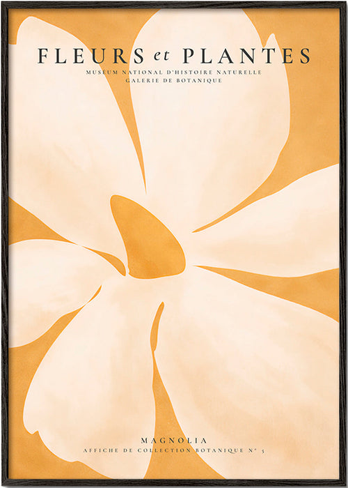 Stampa botanica Magnolia formato grande