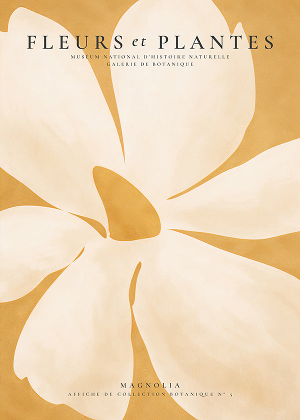 Stampa botanica Magnolia formato grande