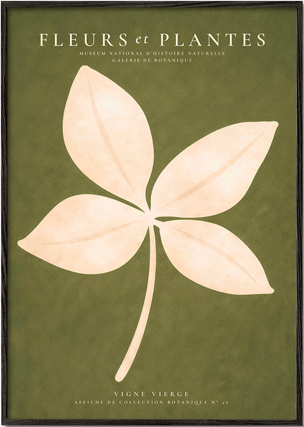 Stampa botanica: foglia crema su fondo verde