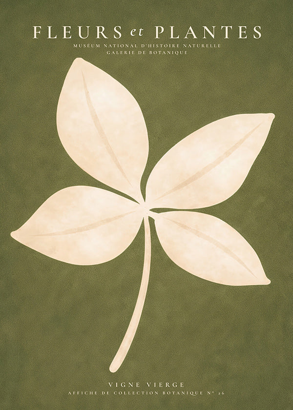 Stampa botanica: foglia crema su fondo verde