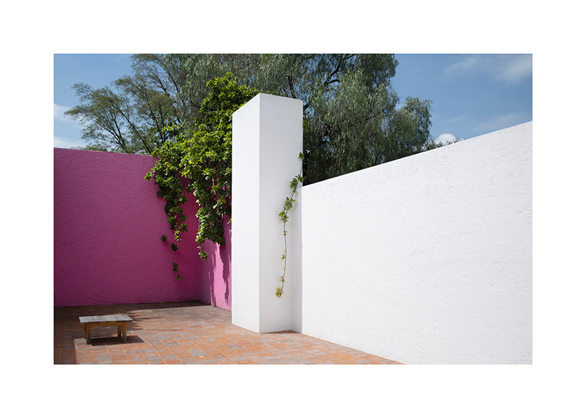 Design minimalista cortile rosa e bianco