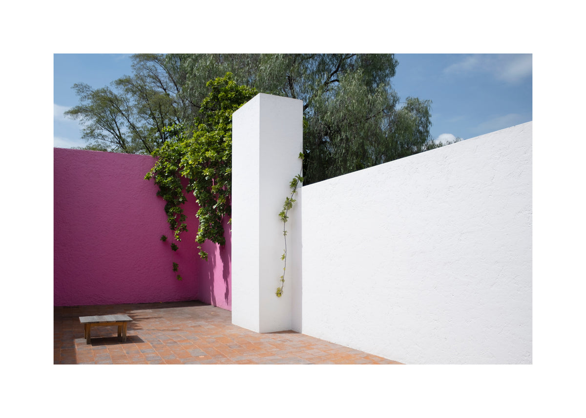 Pink Courtyard - Unframed art print